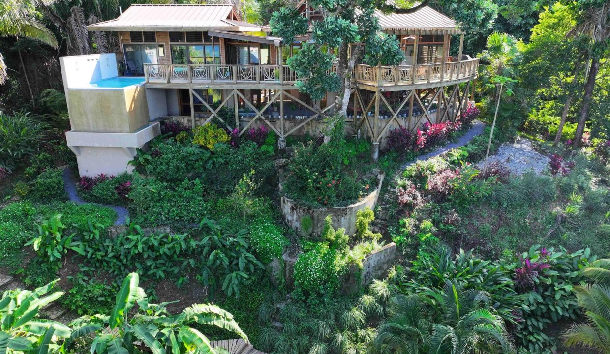 Main House Aerial View