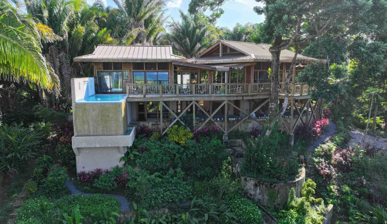 Main House Aerial View